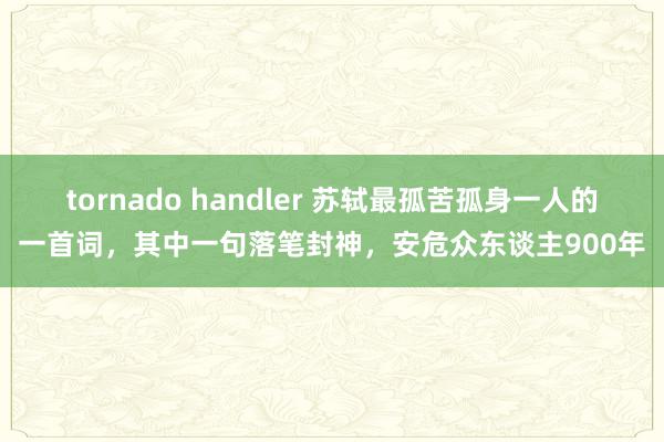 tornado handler 苏轼最孤苦孤身一人的一首词，其中一句落笔封神，安危众东谈主900年