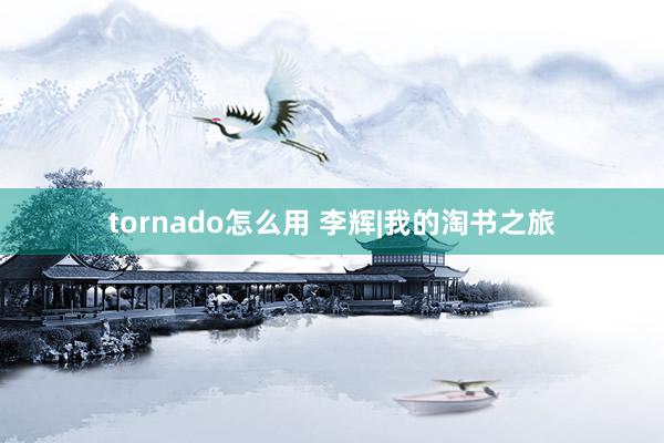 tornado怎么用 李辉|我的淘书之旅